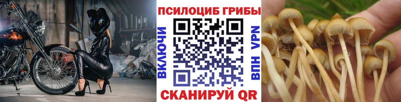 Галлюциногенные грибы GOLDEN TEACHER  цена наркотик  Пошехонье 