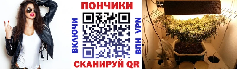 маркетплейс Telegram  Пошехонье  МЕГА сайт  МАРИХУАНА ГИДРОПОН  купить  сайты 